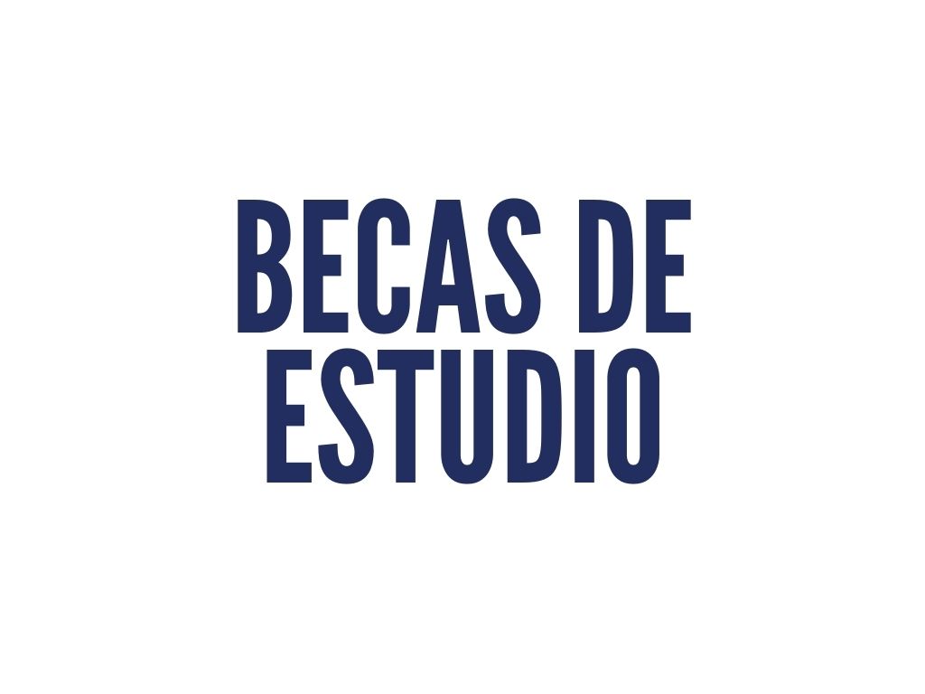 becas de estudio blanco